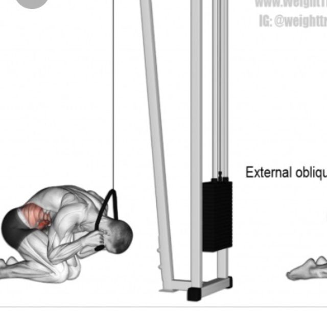 Kneeling Cable Crunch by Ben Adena Exercise Howto Skimble