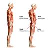 anterior tilt correction