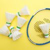 Badminton Workouts