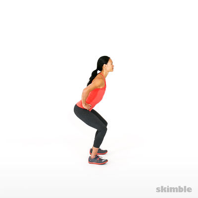 Leg