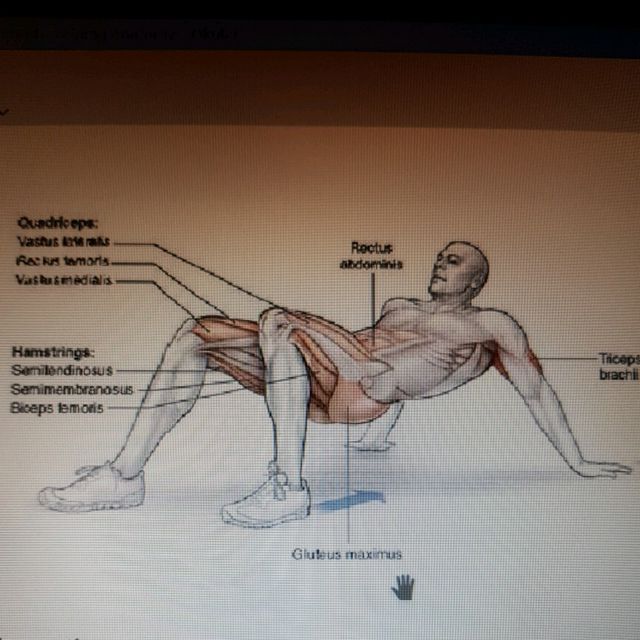 Crab Walk by Stanislav O. Exercise Howto Skimble
