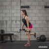 Dumbbell Single Leg Seesaws