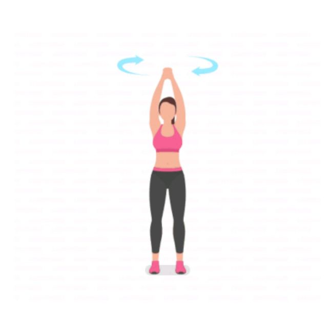 Arm Circles Overhead Clockwise Exercise Howto Workout Trainer by