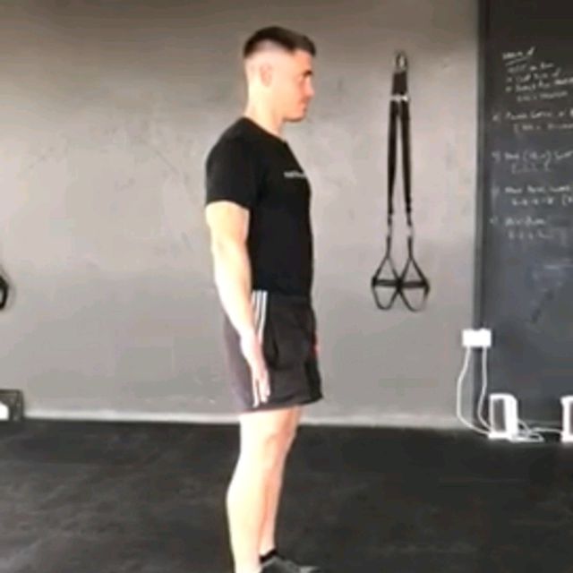 Internal/External Rotations (Arms Hang) by Elisabetta Bruno Exercise Howto Skimble