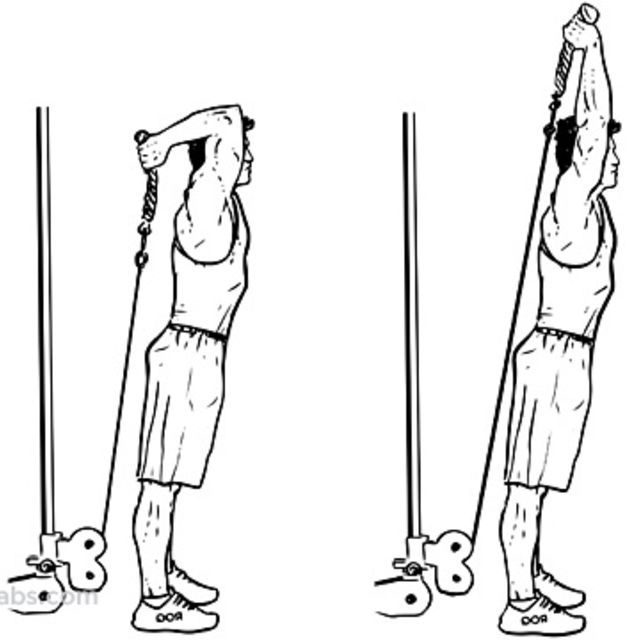 Low cable tricep rope extension by Adele A. Exercise Howto Skimble