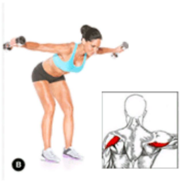 Rear Delt Flyes Exercise Howto Workout Trainer by Skimble