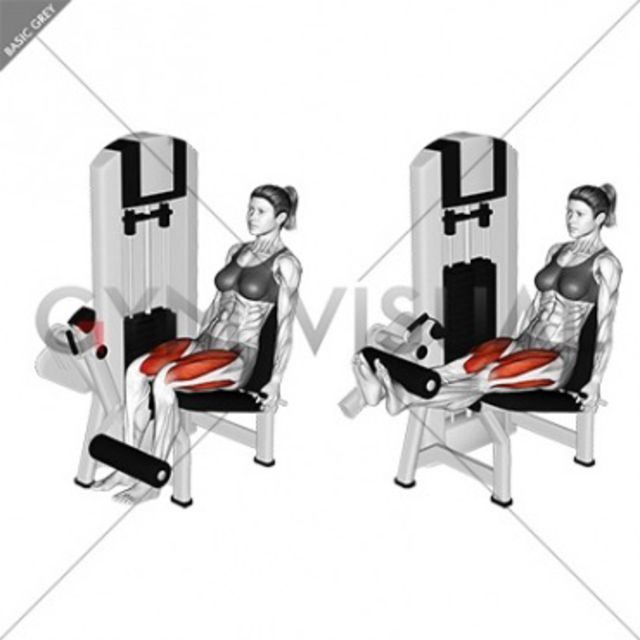 Leg extension by Adele A. Exercise Howto Skimble