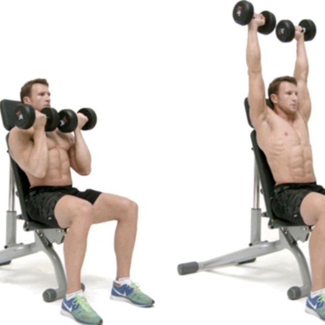 Arnold Press by Stef K Exercise Howto Skimble