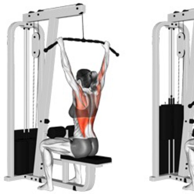 Seated Lat Pulldown To Chest by Adele A. Exercise Howto Skimble