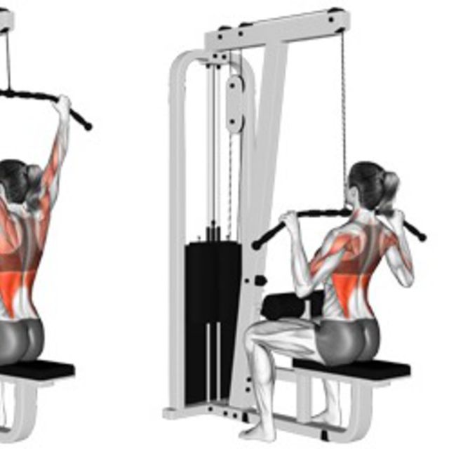 Seated Lat Pulldown To Chest by Adele A. Exercise Howto Skimble