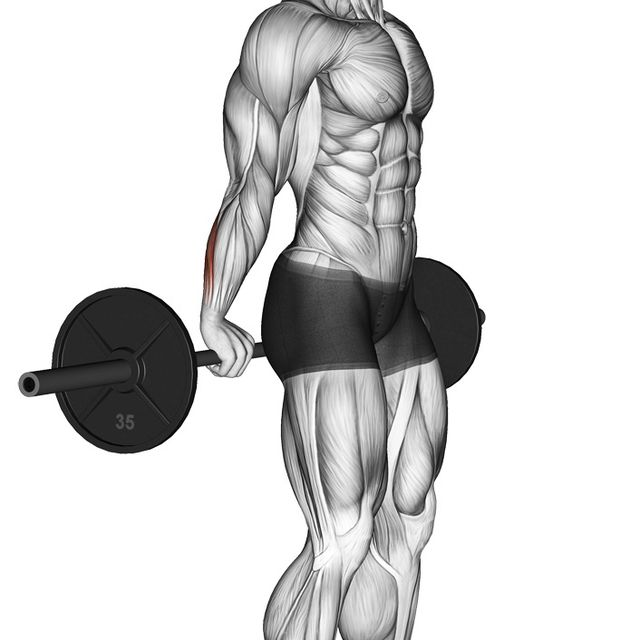 Wrist Flex by Gordon Kennedy Exercise Howto Skimble