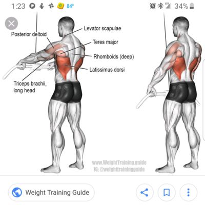 Straight Arm Rope Pull Downs by Mariel Rodriguez - Exercise How-to ...