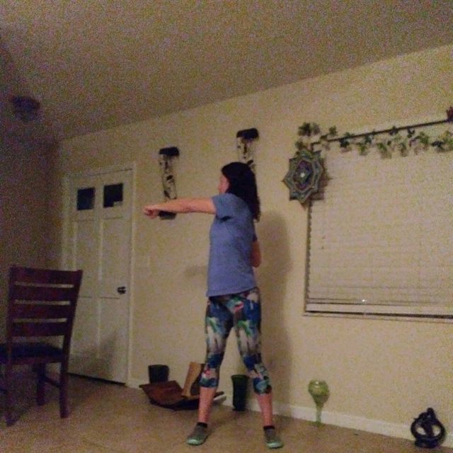 Weighted Torso Twist Side Punches Exercise Howto Workout Trainer