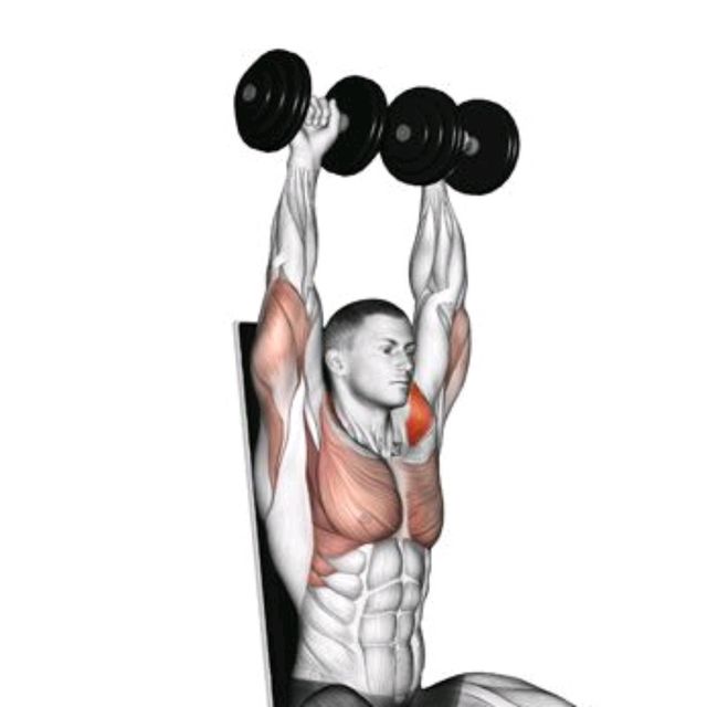 Shoulders Press by Tolik M. Exercise Howto Skimble