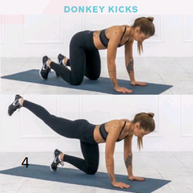 Donkey Kicks Bith Sides by Lily Rinehartmann Exercise Howto Skimble
