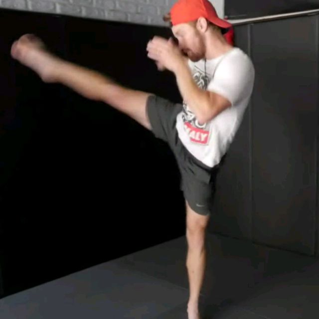 High Round Kick by Bernadette Cordeau Exercise Howto Skimble