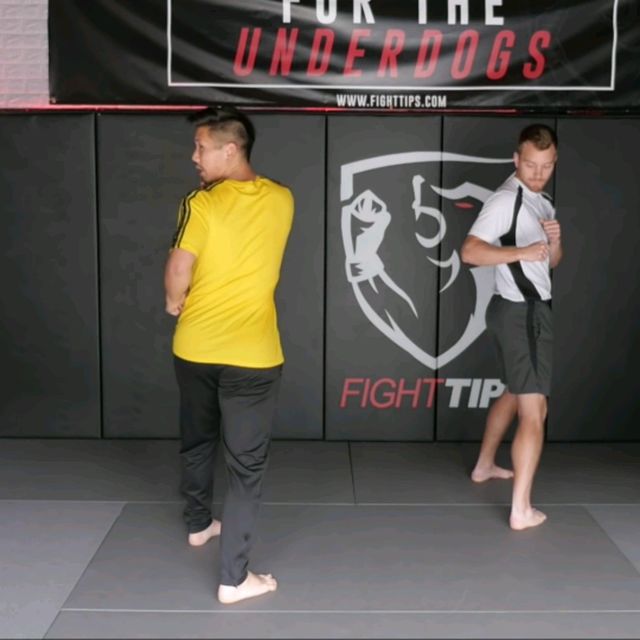 Wheel Kick Spinning Hook Kick Exercise Howto Workout Trainer by