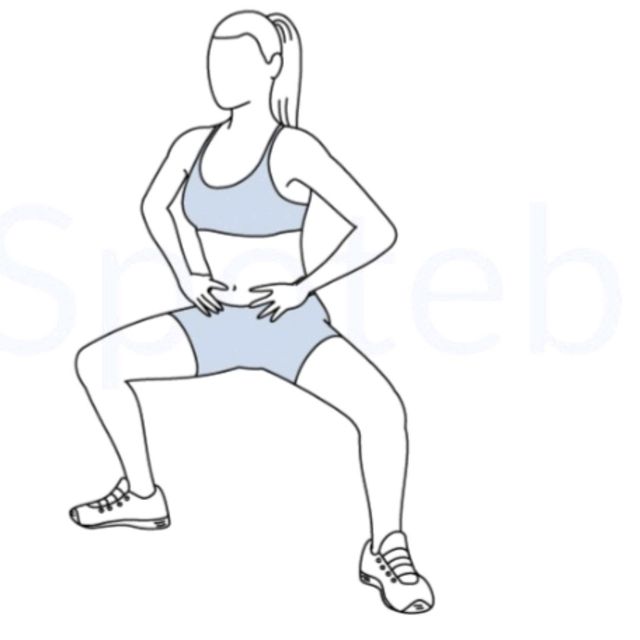 Pile Squats With Calf Raide Exercise Howto Workout Trainer by Skimble