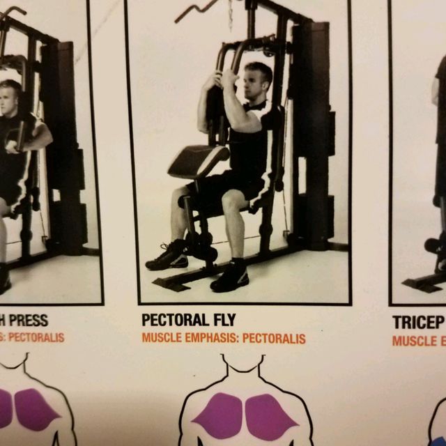 Pectoral Fly Exercise Howto Workout Trainer by Skimble