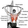Workouts