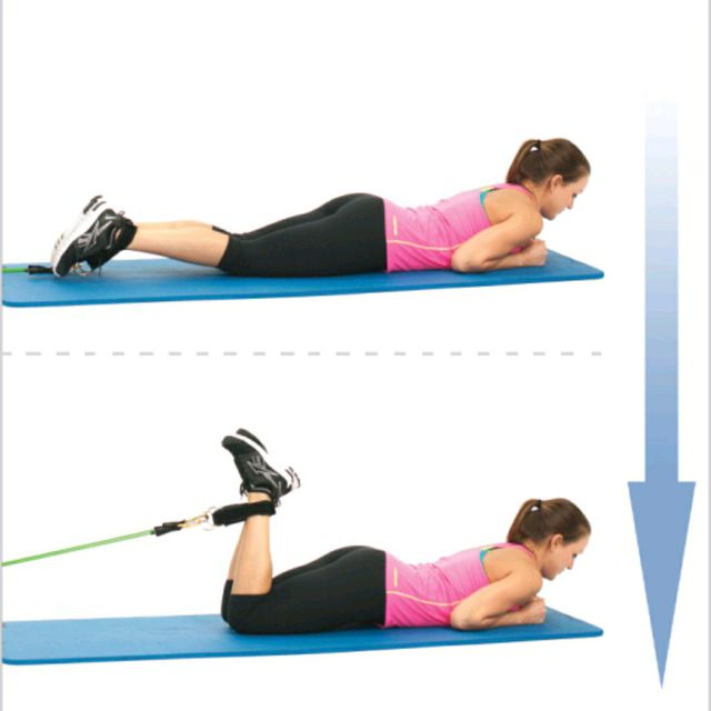 Lying Hamstrings Curl With Tube Bands by Alex 🌊. Exercise Howto