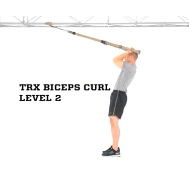 Trx Biceps Curls Level 2 by Alex 🌊. Exercise Howto Skimble