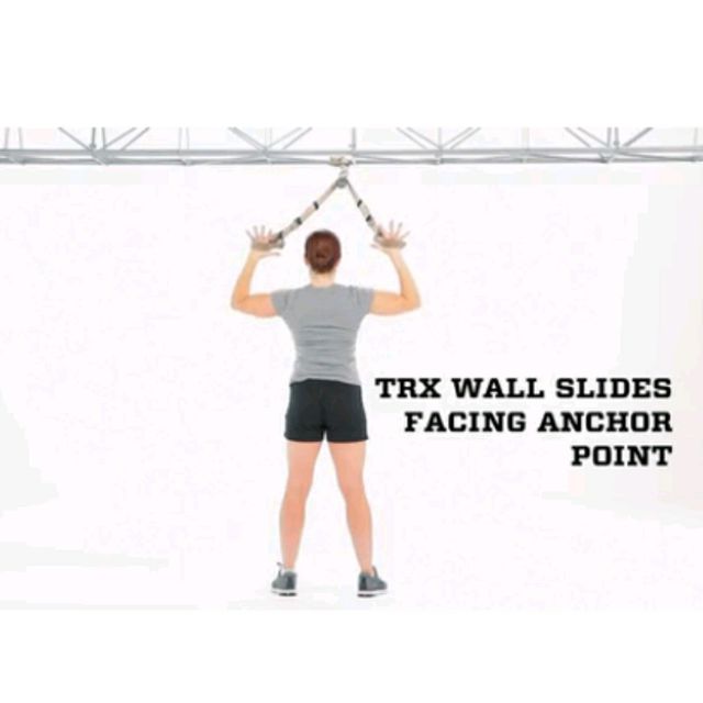 Trx Wall Slides (Standing Facing) by Alex 🌊. Exercise Howto Skimble