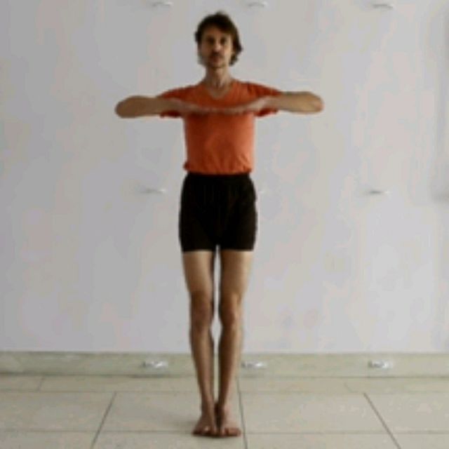 Fingertips Together Elbow Out Arms Parallel by 𝔻𝕖𝕤𝕖𝕣𝕥 𝔽𝕠𝕩🦊 🌟