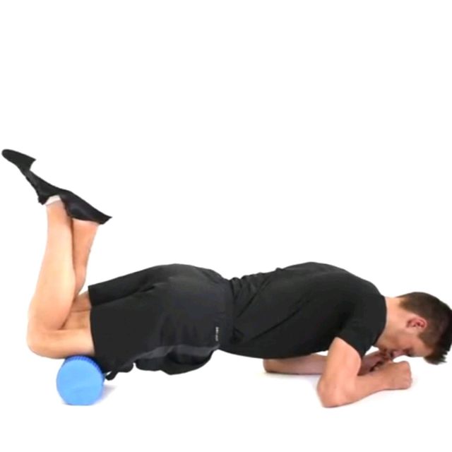 Quad press by Tanya P Exercise Howto Skimble Workout Trainer