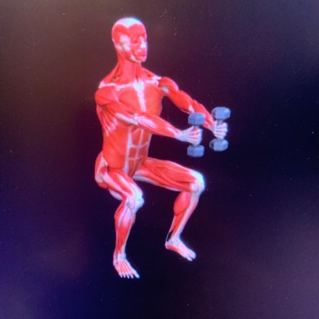 Dumbbell Iron Cross Exercise Howto Workout Trainer by Skimble