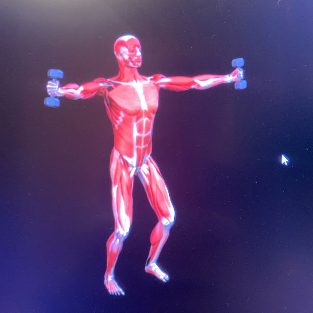 Dumbbell Iron Cross Exercise Howto Workout Trainer by Skimble