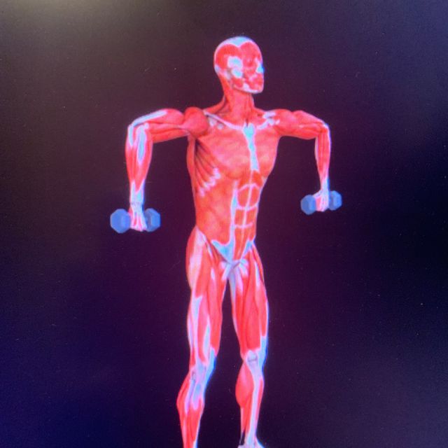 Dumbbell Scarecrow Exercise How to Workout Trainer By Skimble