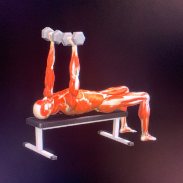 Bench Press Dumbbell Exercise Howto Skimble