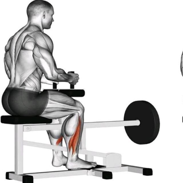 Seated Heel Raises Exercise Howto Workout Trainer by Skimble