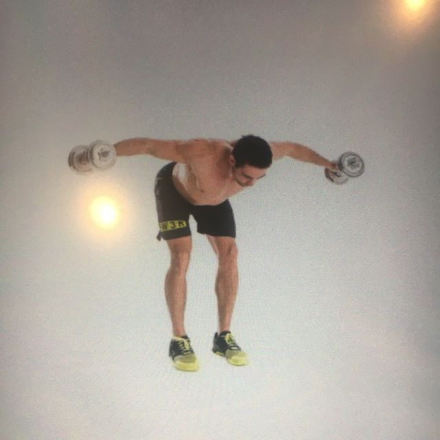 Reverse Fly by Peter D. Exercise Howto Skimble