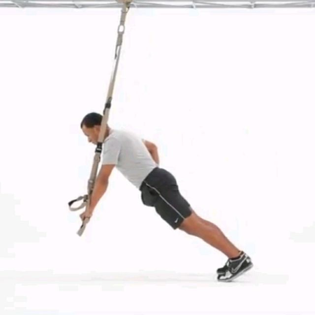 TRX Hinge (Single Arm) Lev2 by Alex 🌊. Exercise Howto Skimble