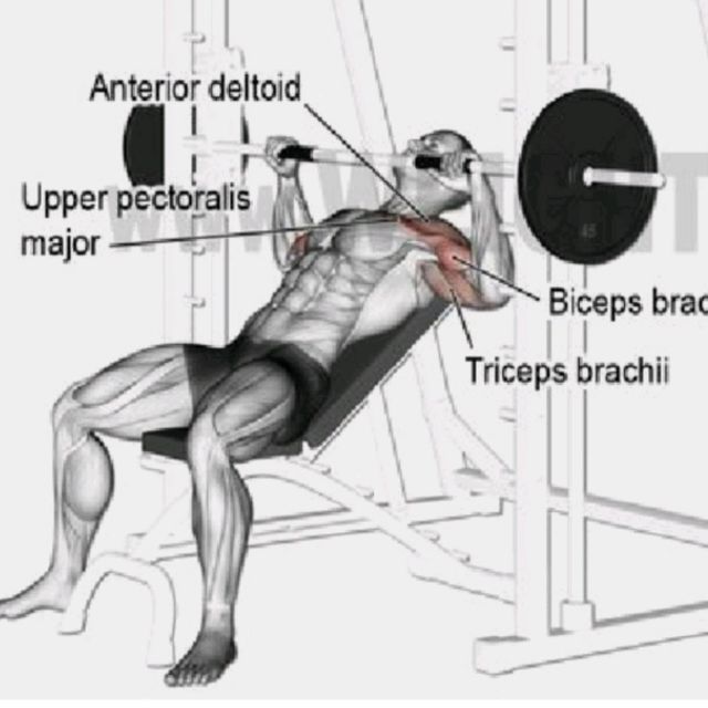 Incline Bench Press ( Smith ) by Craig C. Exercise Howto Skimble