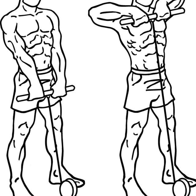 Cable Upright Row Illustrated Exercise Guide Workoutlabs