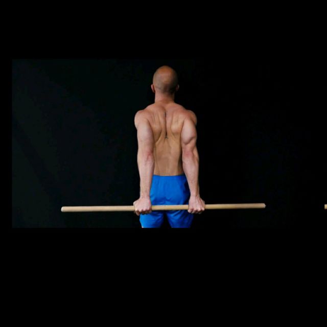 Stick Shoulder Extension (Lev 2) by Alex 🌊. Exercise Howto Skimble