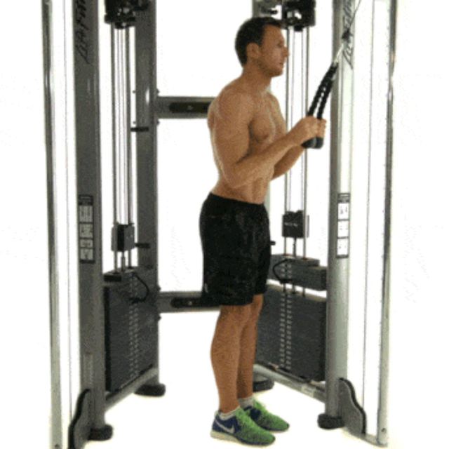 Triceps standing rope push down by Anu K. Exercise Howto Skimble
