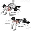 Workouts