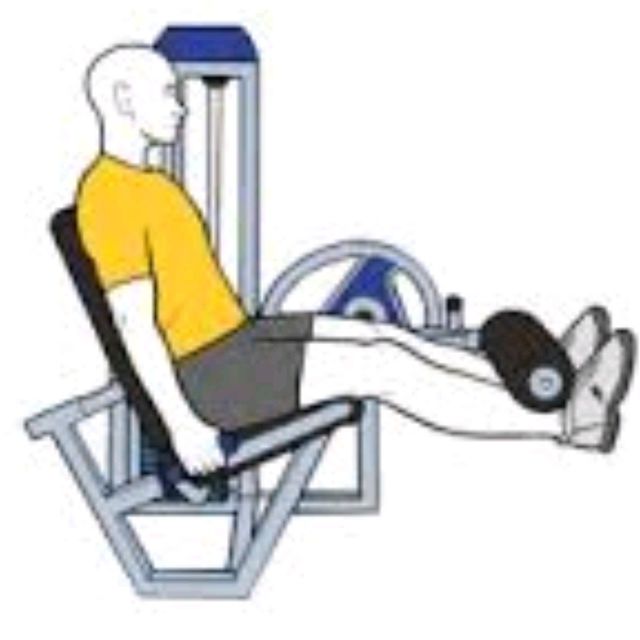 Extensión Cuadriceps 21 Medio Arriba by Javier C. Ejercicio Cómo