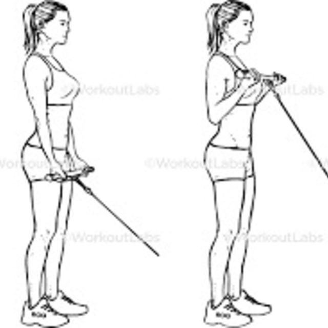 Cable Biceps Curls by Lisa S. Exercise Howto Skimble