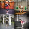 barbell