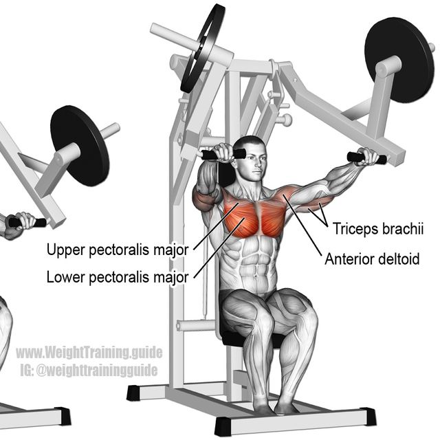 Chest Press machine by Gabrielle M. Exercise Howto Skimble