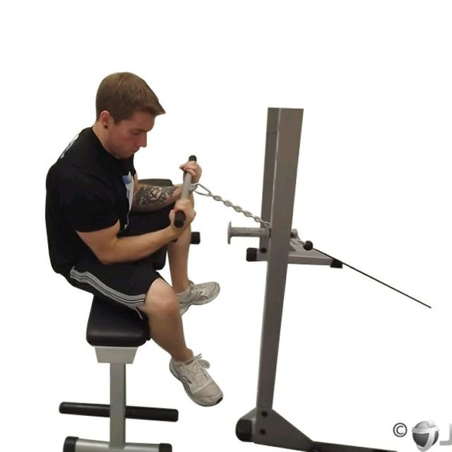 Sitting Cable Wrist Curl by Scott💪 Wood Exercise Howto Skimble