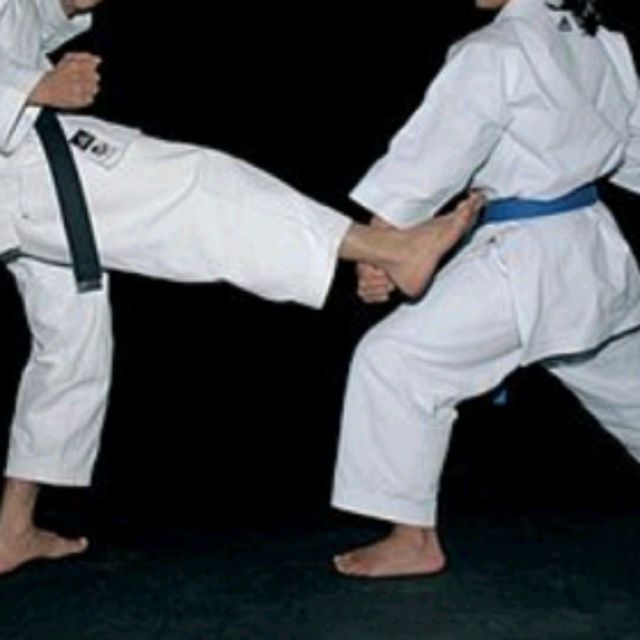Deflecting Strikes Block Deflecting Block • Geodeo Makki by Bernadette C. - Exercise How-to ...