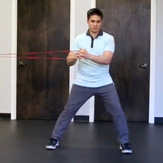 SC Left SideLunge w/ Pallof Press Exercise Howto Workout Trainer