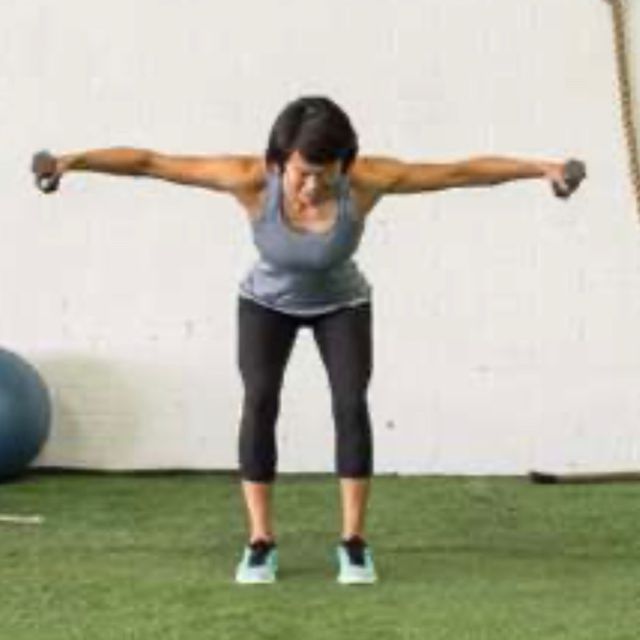 Bent Over Dumbbell Fly by Brian Fallon Exercise Howto Skimble