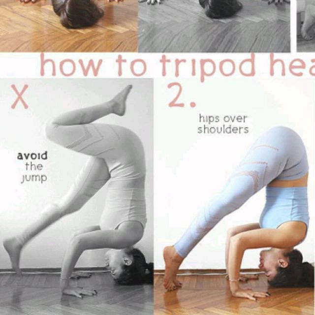 Tripod Dog Exercise Howto Workout Trainer by Skimble